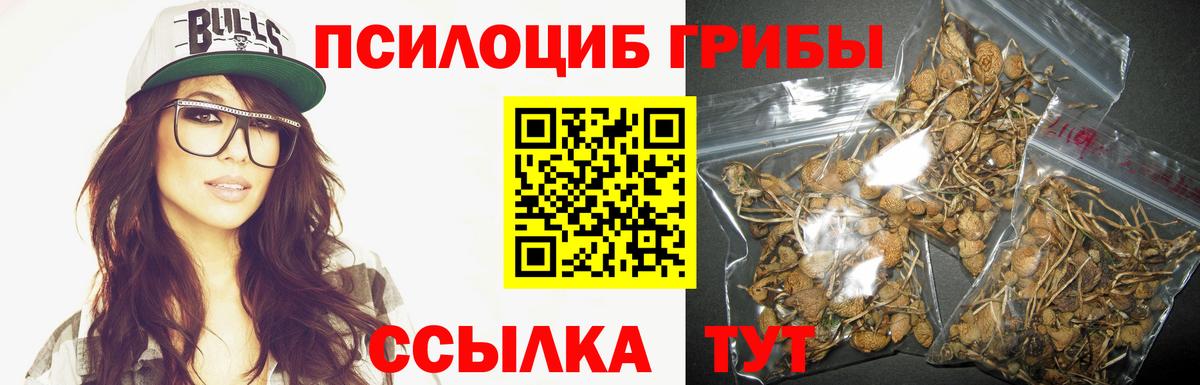 Кропоткин  Псилоцибиновые грибы ЛСД  Вход с VPN  Галлюциногенные грибы Psilocybine cubensis 